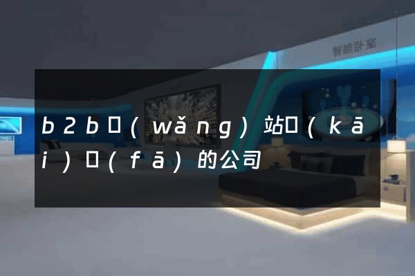 b2b網(wǎng)站開(kāi)發(fā)的公司