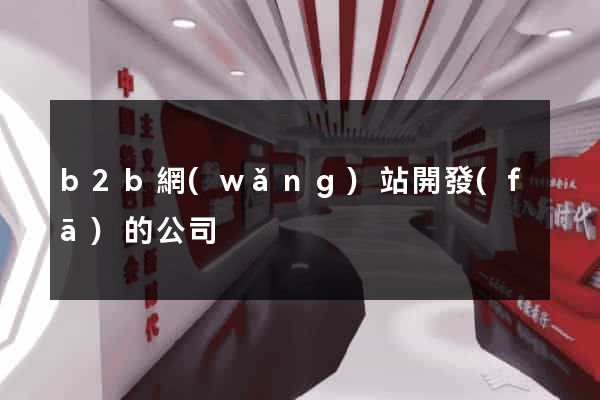 b2b網(wǎng)站開發(fā)的公司