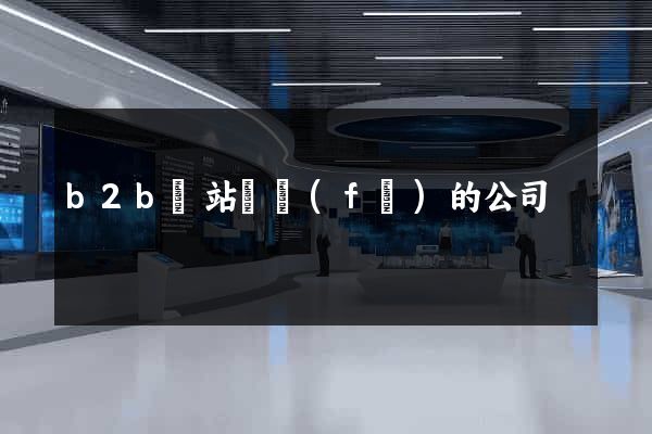 b2b網站開發(fā)的公司