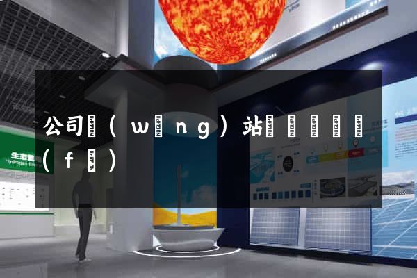 公司網(wǎng)站設計與開發(fā)