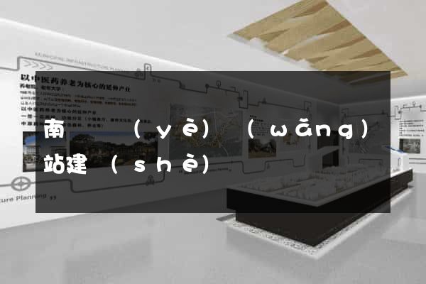 南寧專業(yè)網(wǎng)站建設(shè)