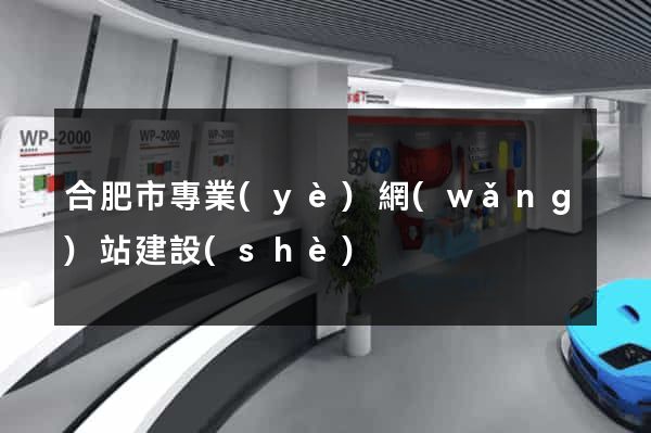 合肥市專業(yè)網(wǎng)站建設(shè)