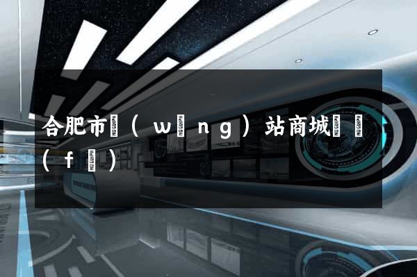 合肥市網(wǎng)站商城開發(fā)