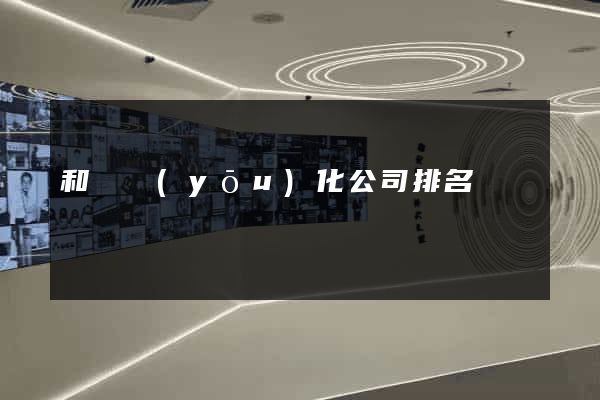 和縣優(yōu)化公司排名