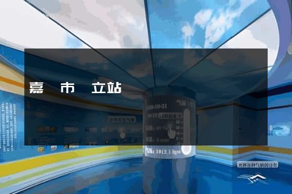 嘉興市獨立站運營