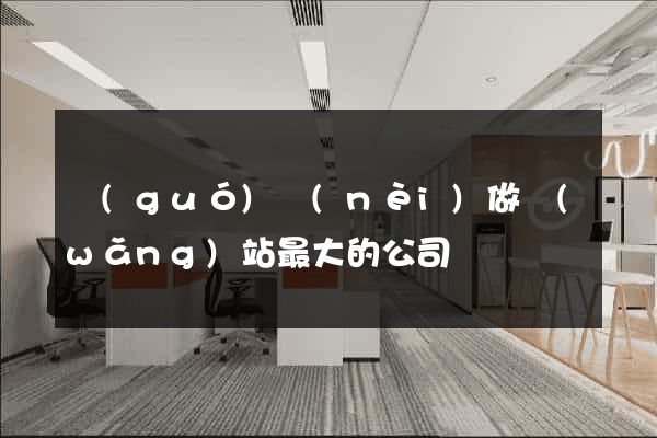 國(guó)內(nèi)做網(wǎng)站最大的公司