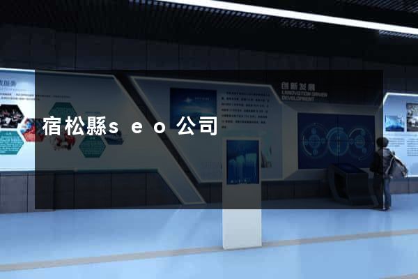 宿松縣seo公司