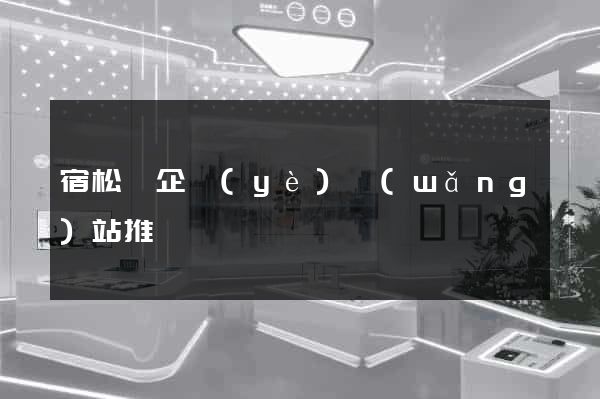 宿松縣企業(yè)網(wǎng)站推廣