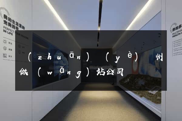 專(zhuān)業(yè)廣州做網(wǎng)站公司