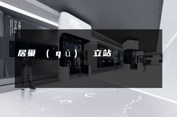 居巢區(qū)獨立站運營