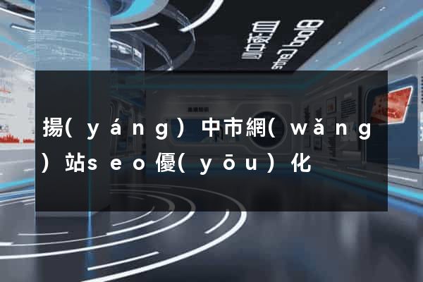 揚(yáng)中市網(wǎng)站seo優(yōu)化