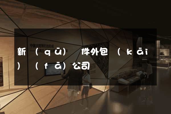 新區(qū)軟件外包開(kāi)發(fā)公司