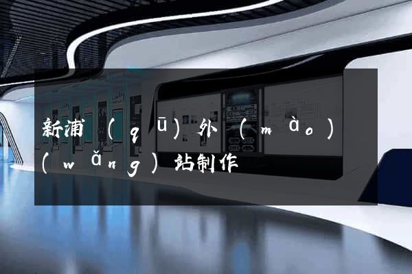 新浦區(qū)外貿(mào)網(wǎng)站制作