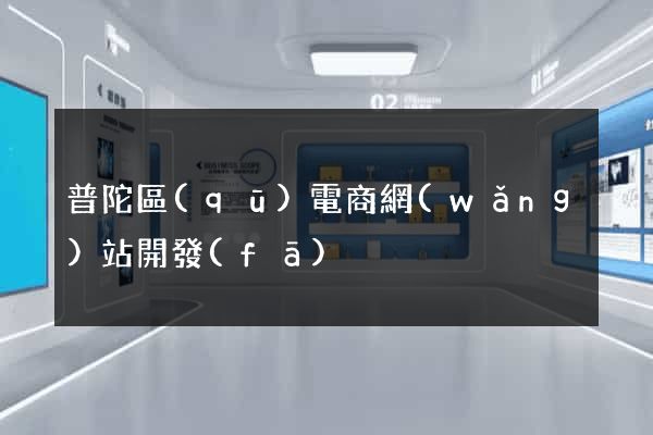 普陀區(qū)電商網(wǎng)站開發(fā)