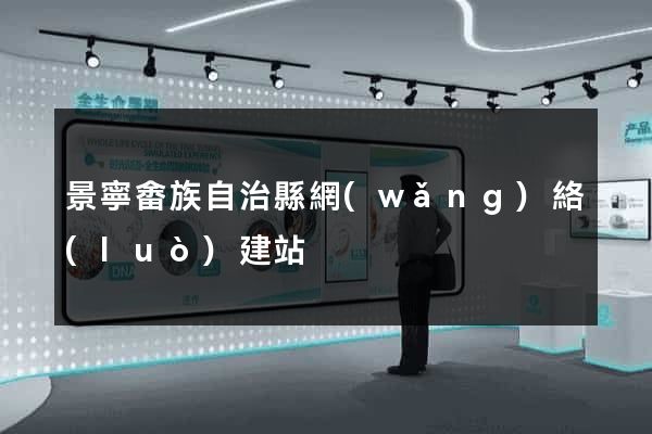 景寧畬族自治縣網(wǎng)絡(luò)建站
