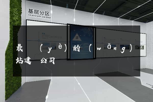 最專業(yè)的網(wǎng)站建設公司