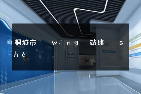 桐城市網(wǎng)站建設(shè)