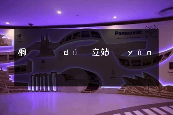 桐廬縣獨(dú)立站運(yùn)營