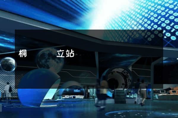 桐廬縣獨立站運營