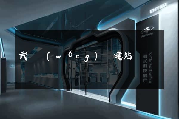 武漢網(wǎng)絡建站