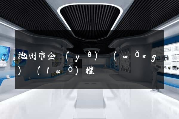 池州市企業(yè)網(wǎng)絡(luò)推廣