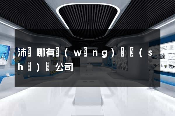 沛縣哪有網(wǎng)頁設(shè)計公司