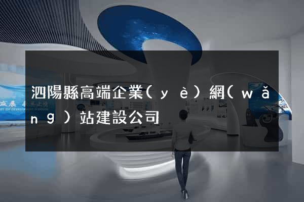 泗陽縣高端企業(yè)網(wǎng)站建設公司