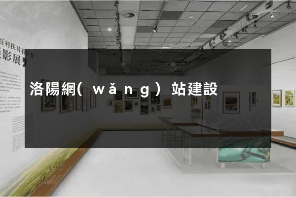 洛陽網(wǎng)站建設