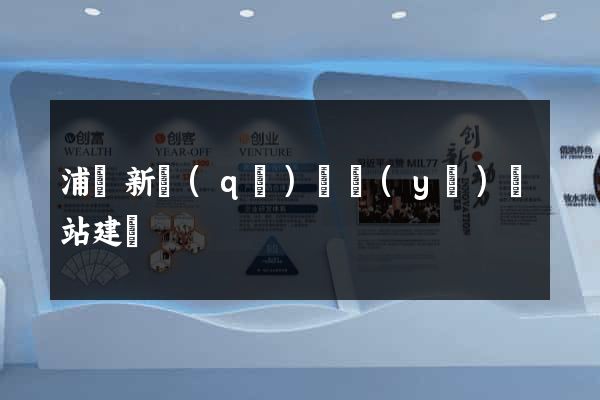 浦東新區(qū)專業(yè)網站建設