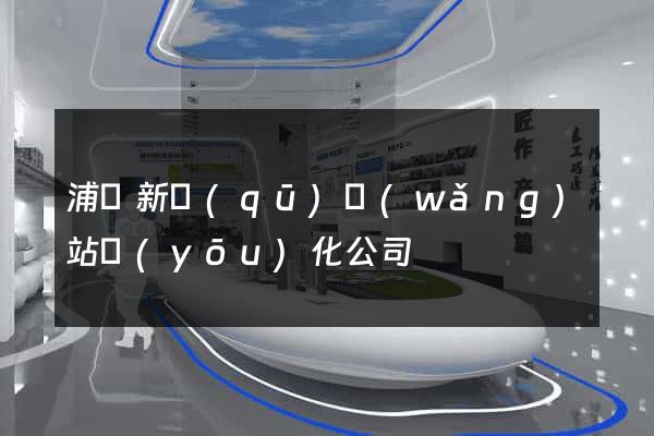 浦東新區(qū)網(wǎng)站優(yōu)化公司