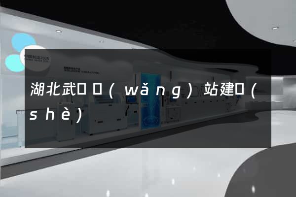 湖北武漢網(wǎng)站建設(shè)
