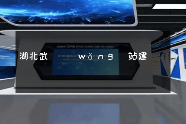湖北武漢網(wǎng)站建設
