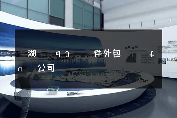 濱湖區(qū)軟件外包開發(fā)公司