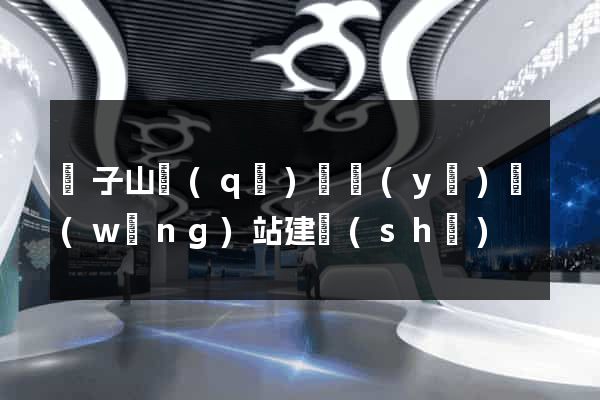 獅子山區(qū)專業(yè)網(wǎng)站建設(shè)