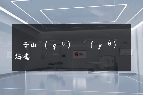 獅子山區(qū)專業(yè)網站建設