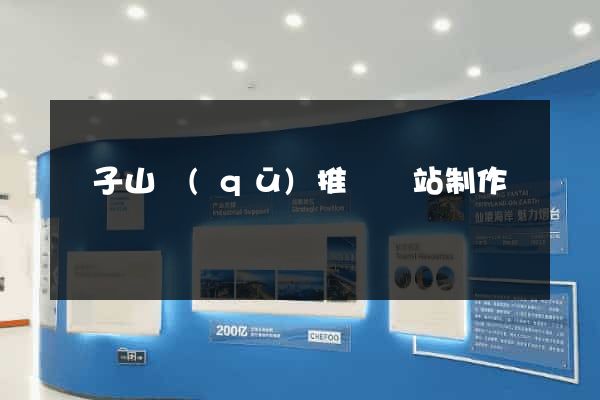 獅子山區(qū)推廣網站制作