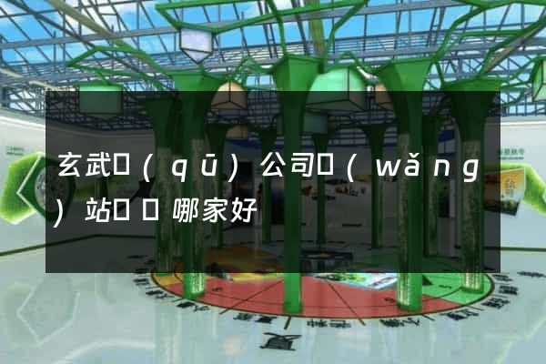 玄武區(qū)公司網(wǎng)站設計哪家好