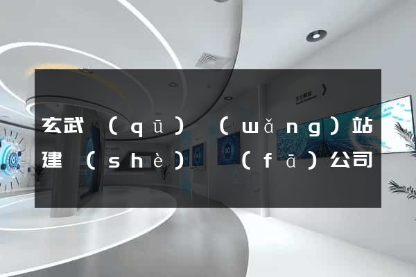 玄武區(qū)網(wǎng)站建設(shè)開發(fā)公司