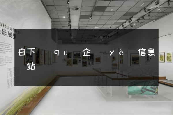 白下區(qū)企業(yè)信息網站