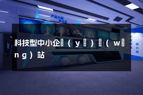 科技型中小企業(yè)網(wǎng)站