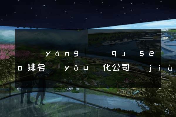 維揚(yáng)區(qū)seo排名優(yōu)化公司價(jià)格