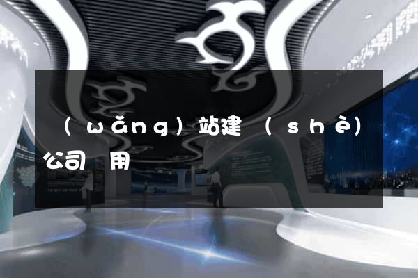 網(wǎng)站建設(shè)公司費用