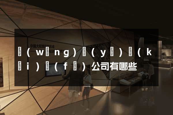 網(wǎng)頁(yè)開(kāi)發(fā)公司有哪些