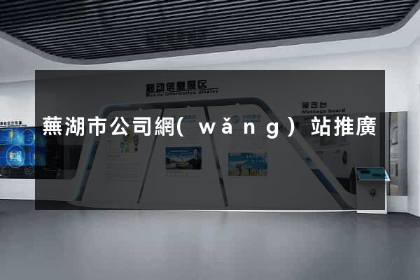 蕪湖市公司網(wǎng)站推廣