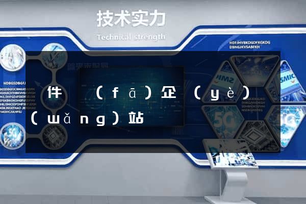 軟件開發(fā)企業(yè)網(wǎng)站