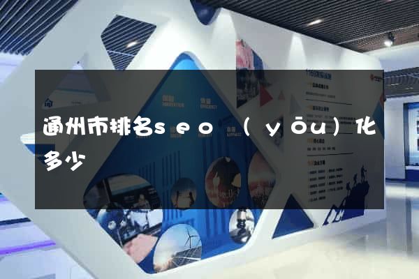 通州市排名seo優(yōu)化多少錢