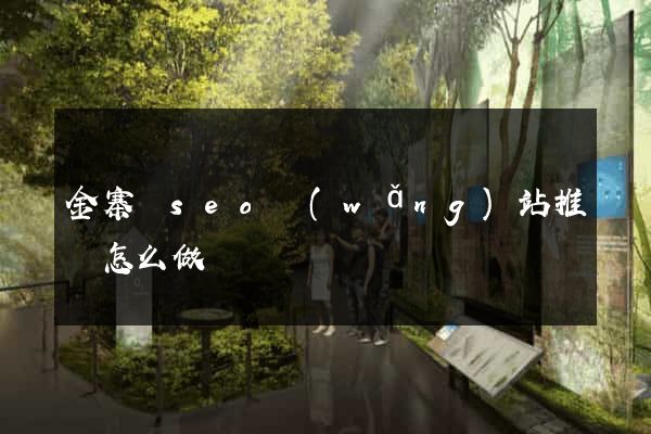 金寨縣seo網(wǎng)站推廣怎么做
