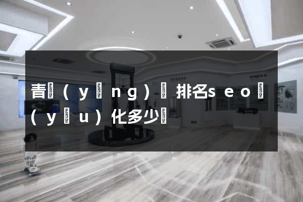 青陽(yáng)縣排名seo優(yōu)化多少錢