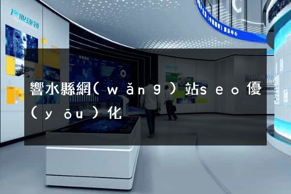 響水縣網(wǎng)站seo優(yōu)化