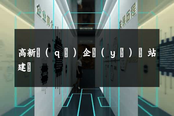 高新區(qū)企業(yè)網站建設